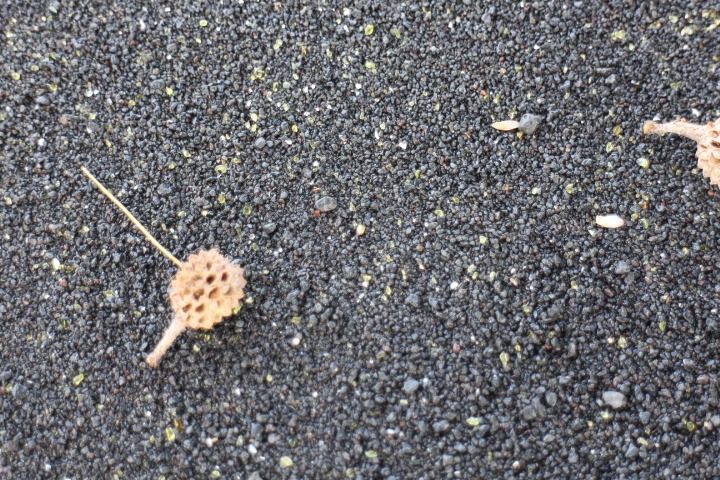 b0129041_16352923.jpg