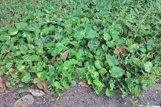 b0129041_1650171.jpg