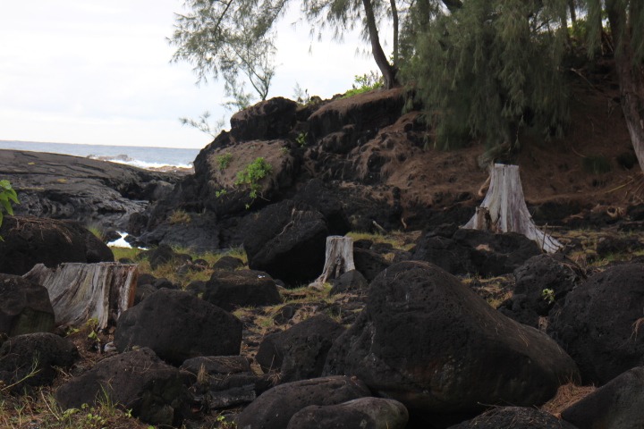 b0129041_1654454.jpg