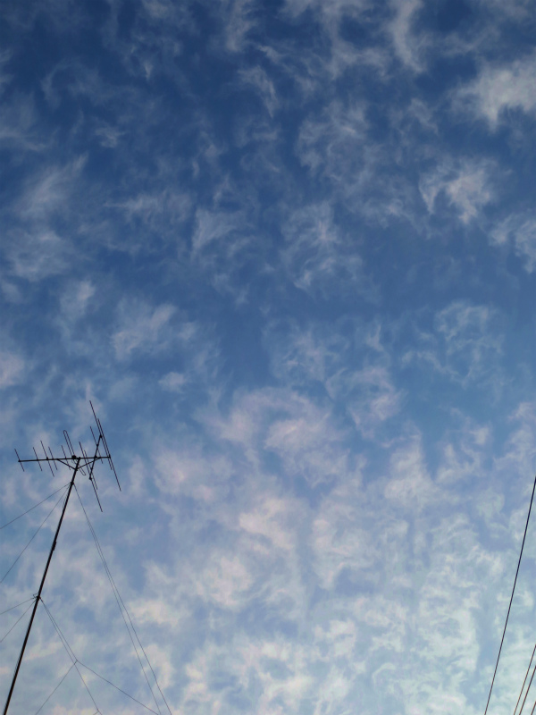 b0097747_10124910.jpg