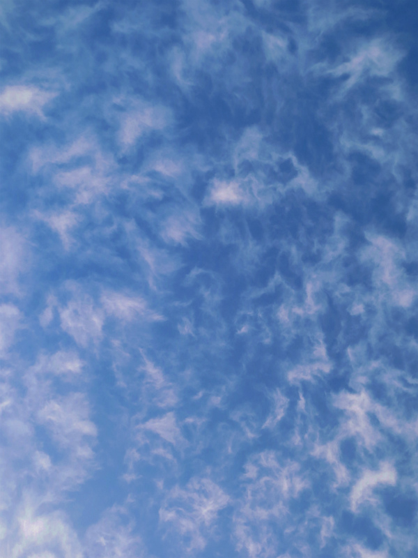 b0097747_10125755.jpg