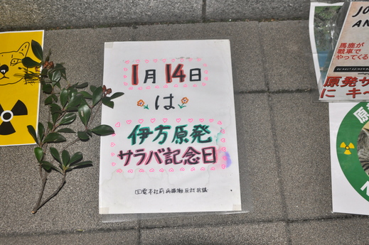 b0242956_735747.jpg