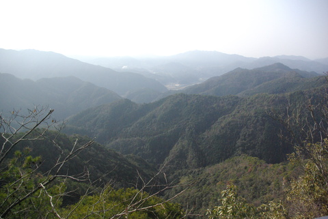 b0232459_21941.jpg