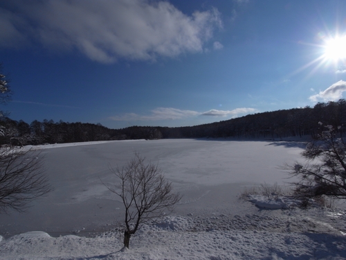 c0166668_15525131.jpg
