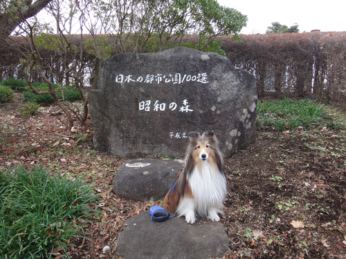 a0157174_206145.png
