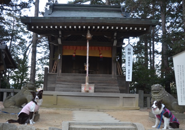 c0268774_10125161.jpg