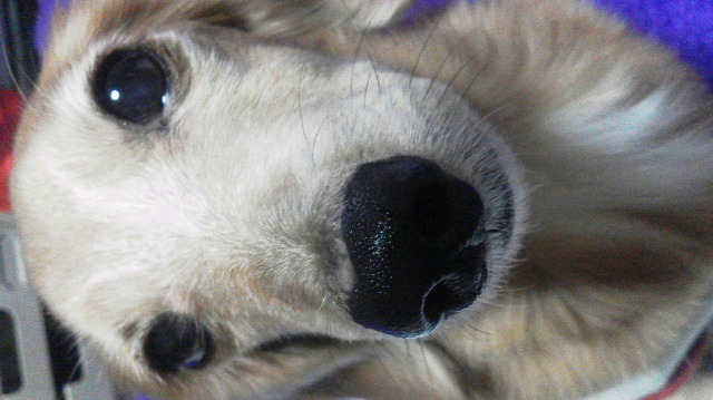 b0023477_8545071.jpg