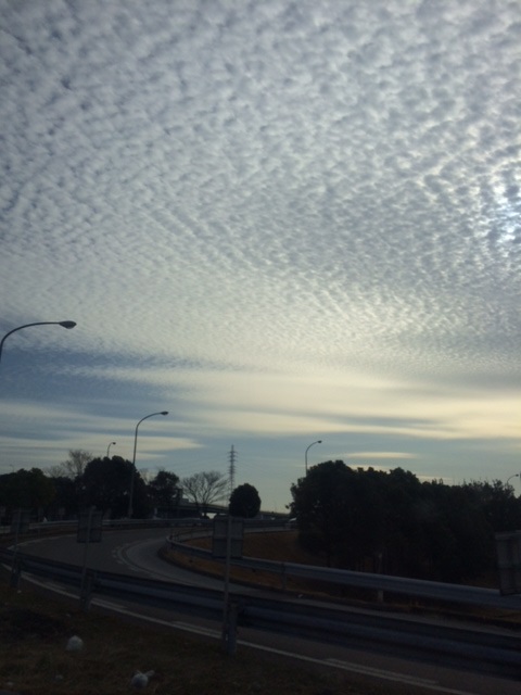 b0192878_2129421.jpg