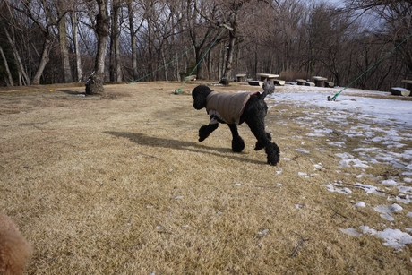 c0283778_15175680.jpg