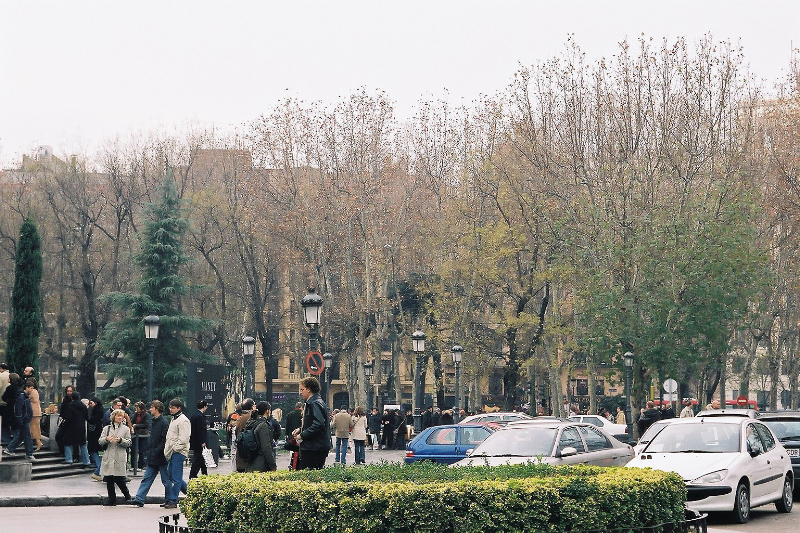 b0178479_17565173.jpg