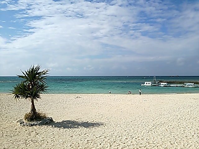 a0229491_1251503.jpg