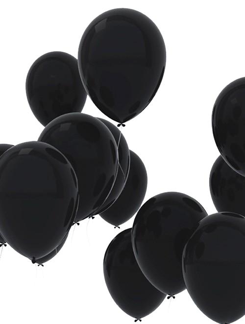c0093101_1948271.png