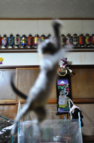 e0007801_09035814.jpg