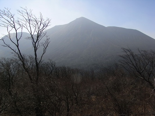 f0187402_16541632.jpg