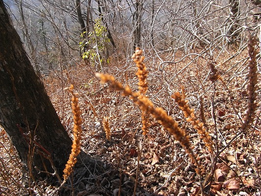 f0187402_1654261.jpg