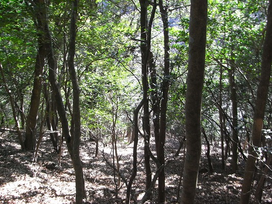 f0187402_1654288.jpg