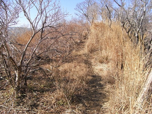 f0187402_16545087.jpg