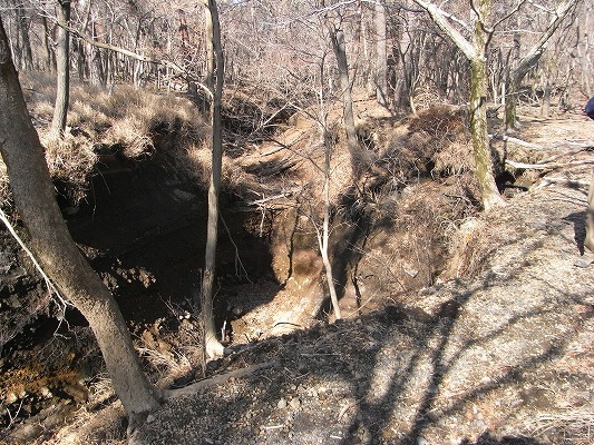 f0187402_16545986.jpg