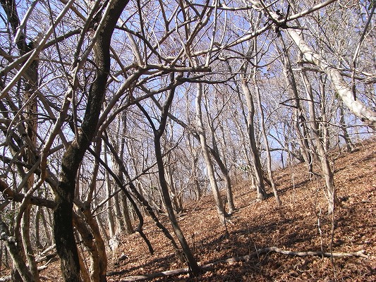 f0187402_1654971.jpg
