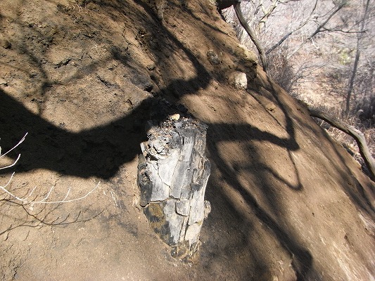 f0187402_16551595.jpg