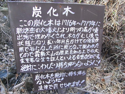 f0187402_1655731.jpg