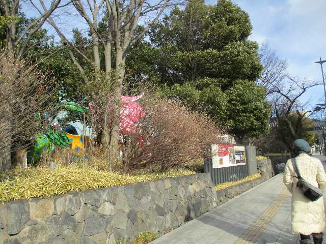b0057103_18382737.jpg