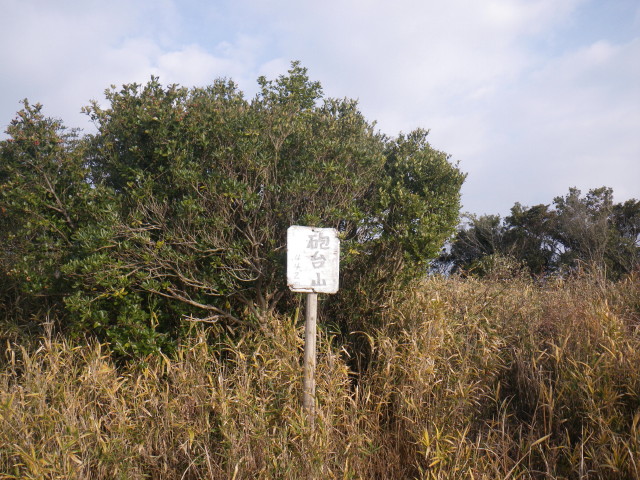 d0006512_1131265.jpg
