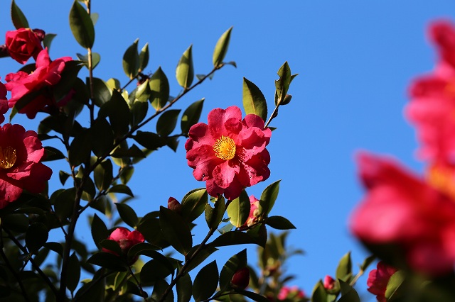 a0242438_1814155.jpg