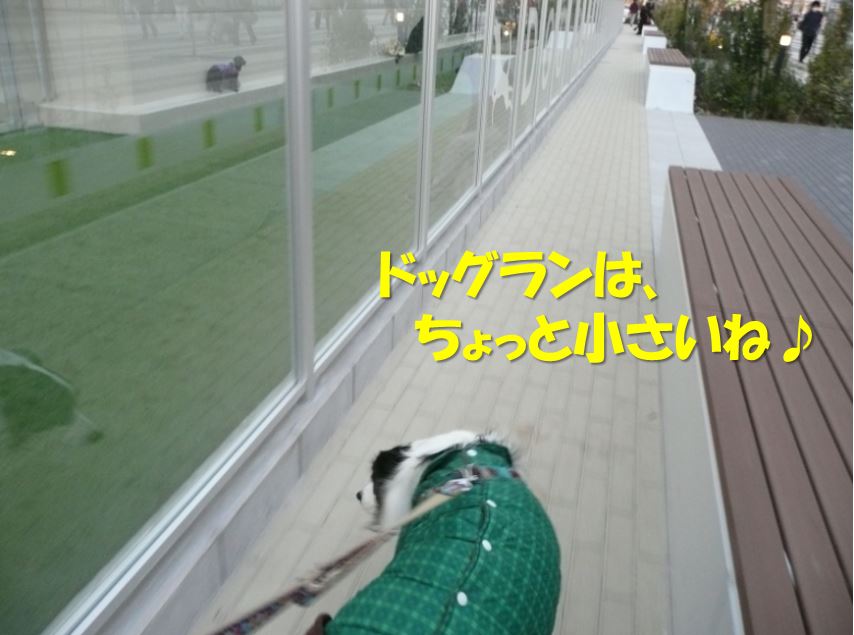 c0147241_853024.jpg