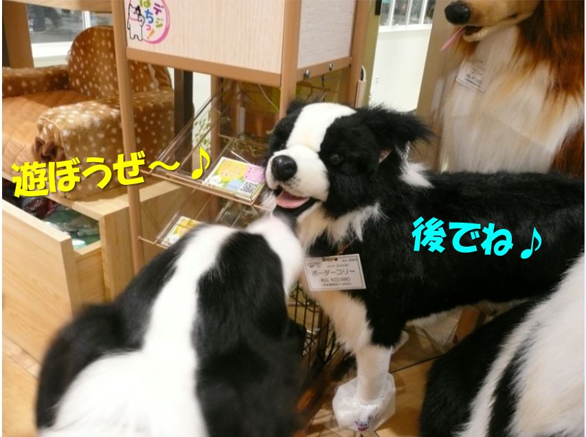 c0147241_854937.jpg