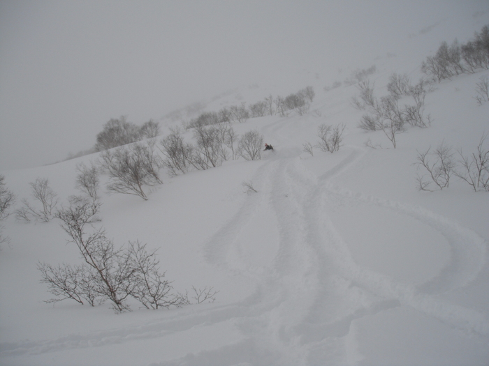 f0232845_20173690.jpg