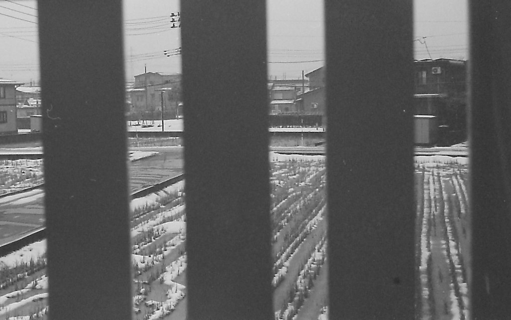 f0305051_2323471.jpg
