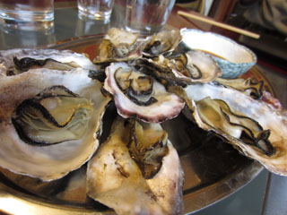 a0052952_1813534.jpg