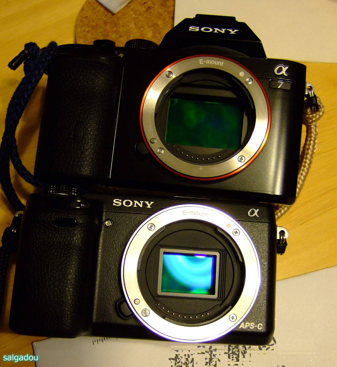 a0063552_11251281.jpg