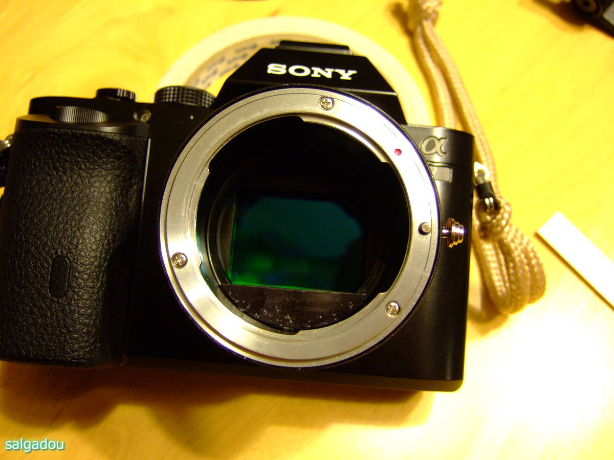 a0063552_22453615.jpg