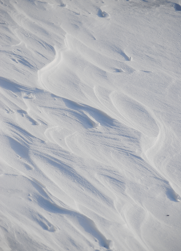 a0001354_2252599.gif