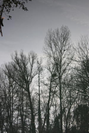 b0296855_19573378.jpg