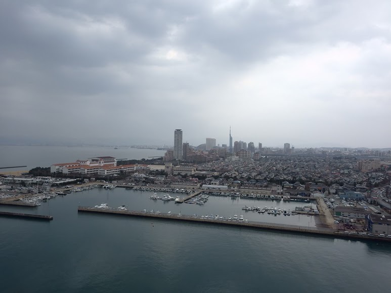 f0201157_20201831.jpg