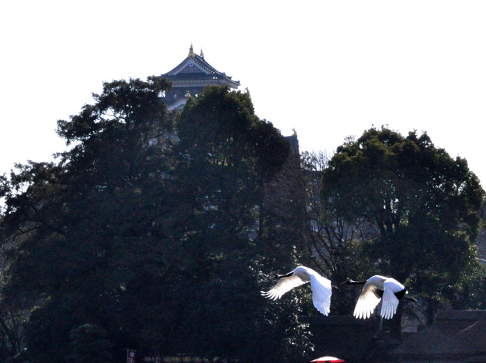a0284558_1716472.jpg