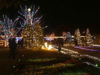 c0050264_121229.jpg