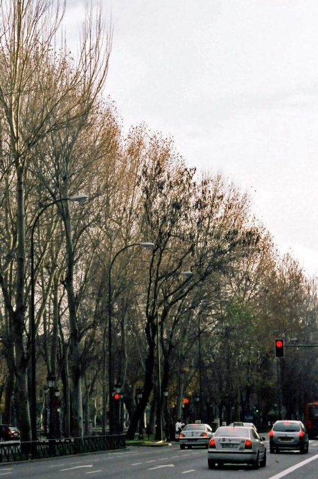 b0178479_065264.jpg