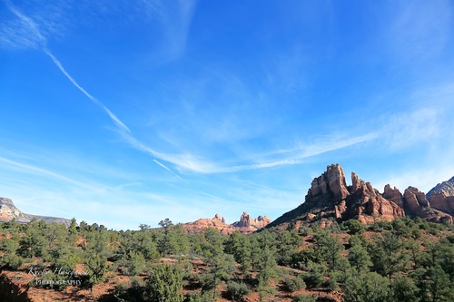 e0148185_7521146.jpg