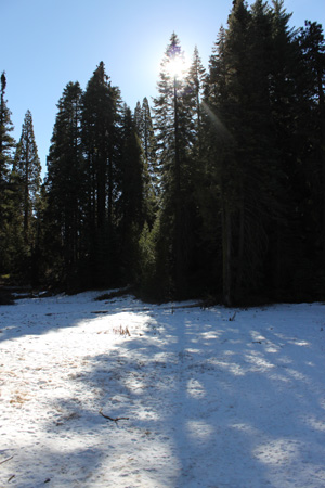 c0033994_15594315.jpg