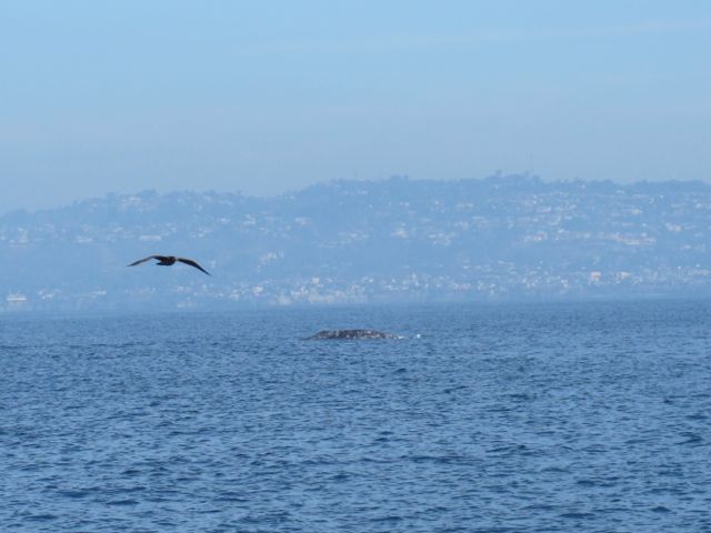 a0127398_1385859.jpg