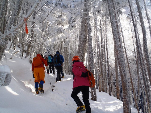 c0147398_1254444.jpg