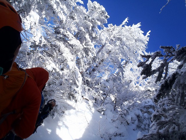 c0147398_12545645.jpg