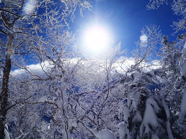 c0147398_12551338.jpg