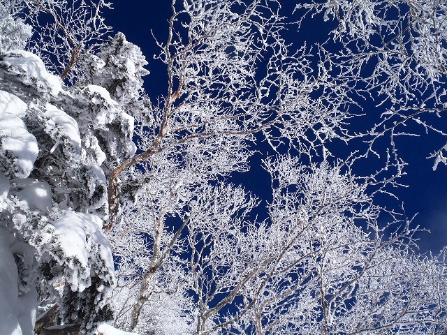 c0147398_12552171.jpg