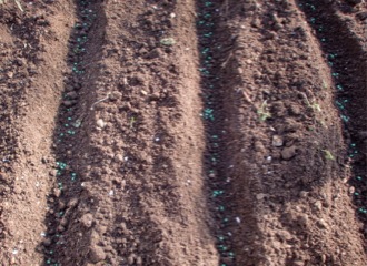 c0151898_1739448.jpg