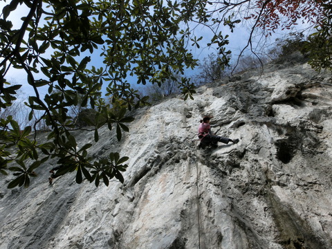 d0151699_11192378.jpg